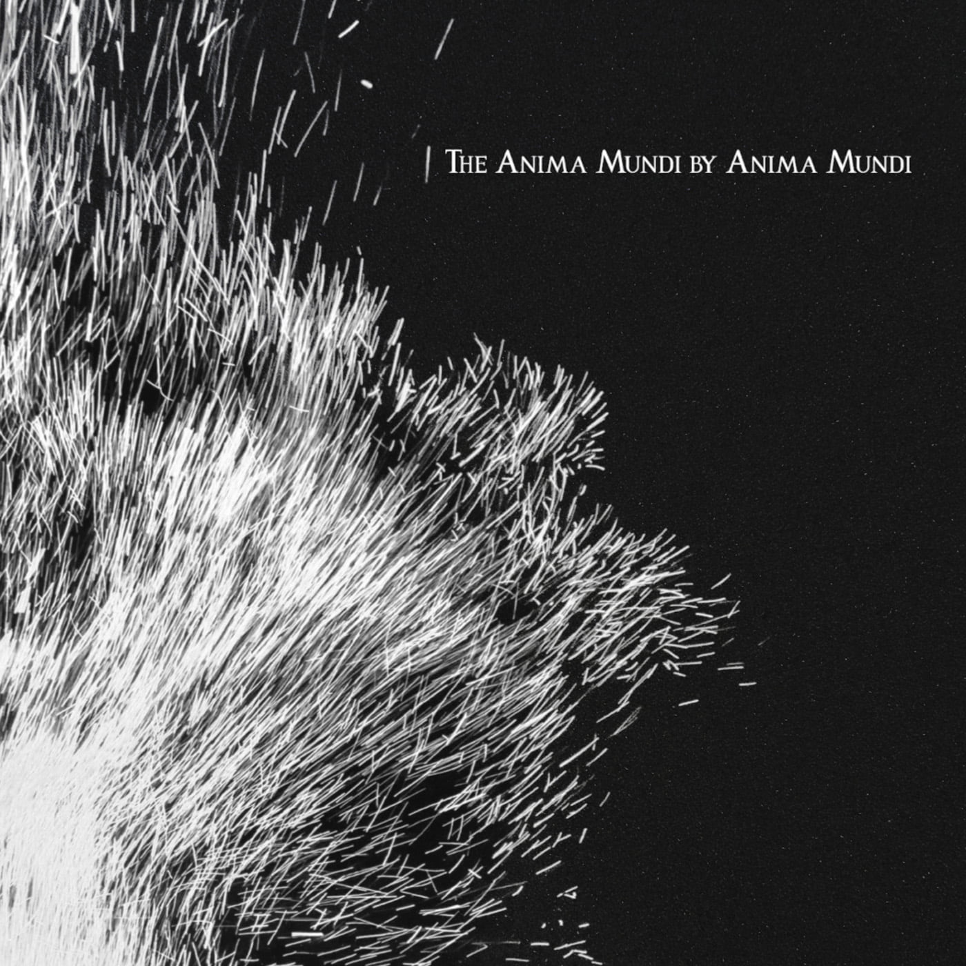 The Anima Mundi